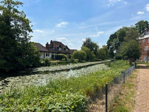 River Mole (Summer Photo)- click for photo gallery